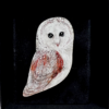 Pross Loorkakk - Image 4